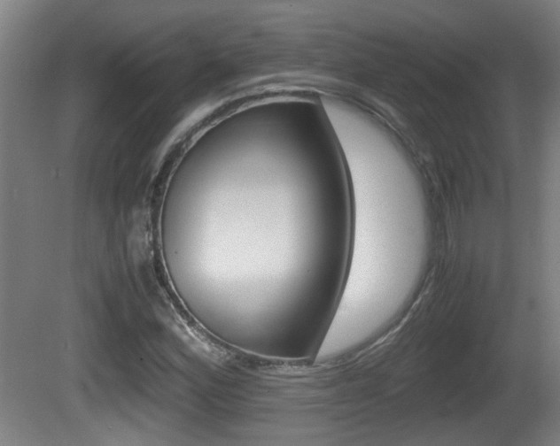 X0000081271164200701110900