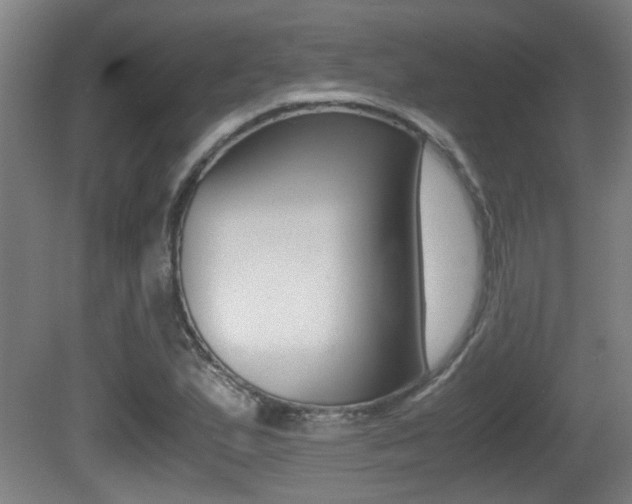 X0000081271167200701110900