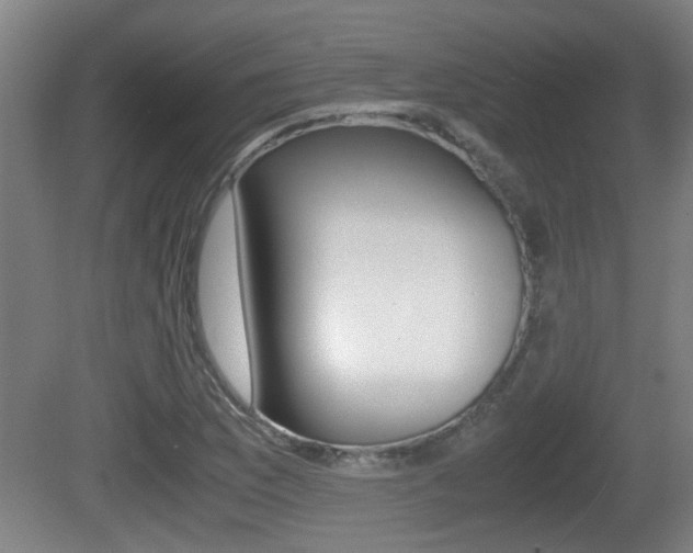X0000081271169200701110900