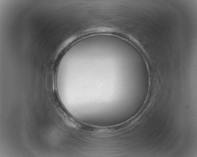 X0000081271171200701110900