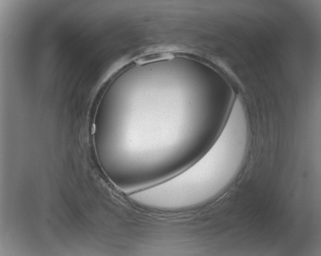 X0000081271173200701110900