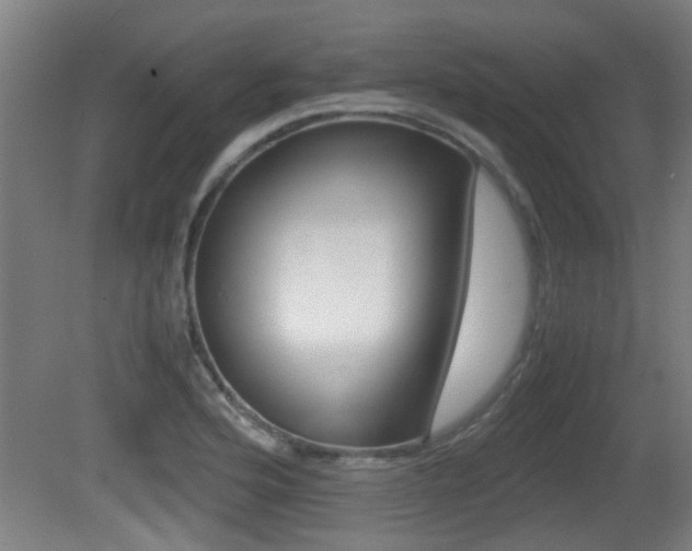 X0000081271176200701110900