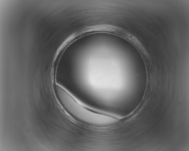 X0000081271180200701110900