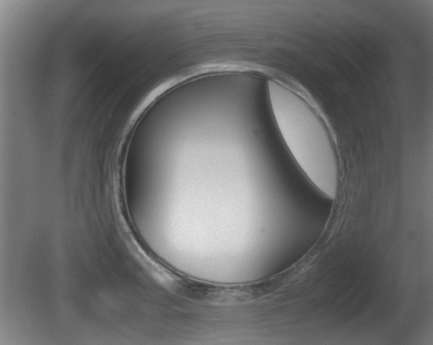 X0000081271187200701110900
