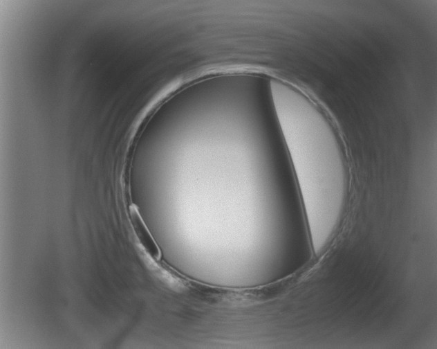 X0000081271189200701110900