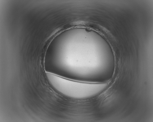 X0000081271209200701110859
