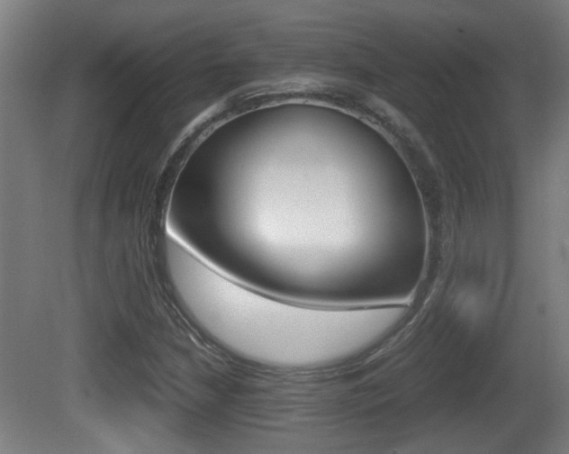 X0000081271210200701110859