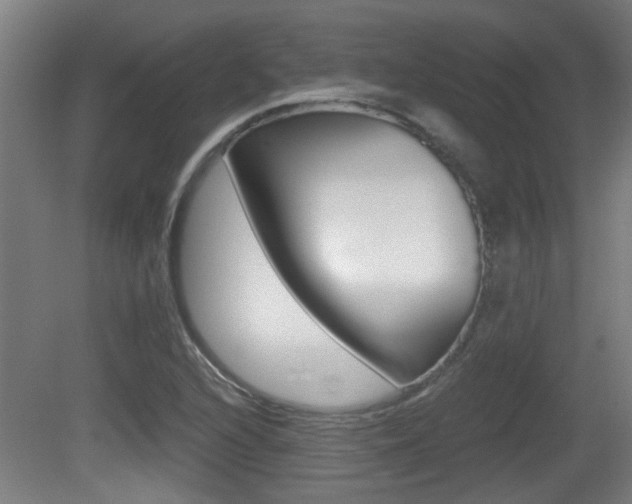 X0000081271216200701110859
