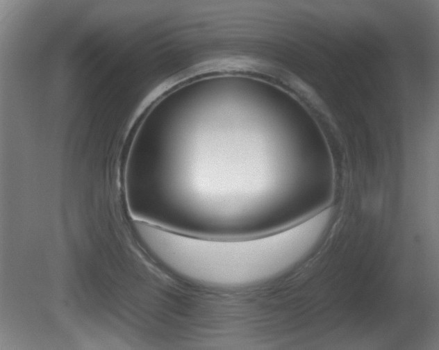 X0000081271226200701110859