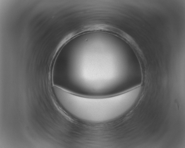 X0000081271234200701110859