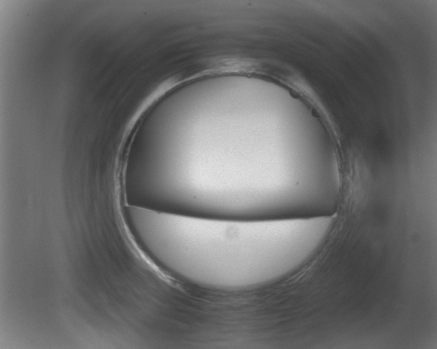 X0000081271235200701110859
