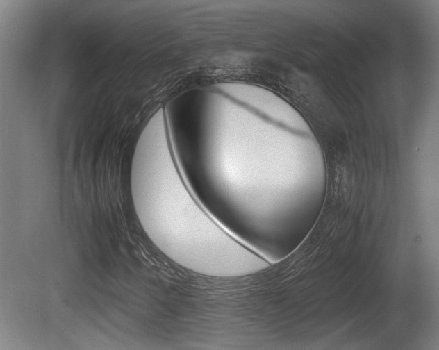X0000081271250200701110858