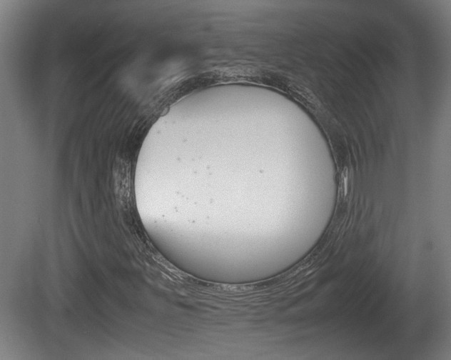 X0000081271251200701110858