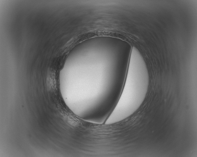 X0000081271252200701110858