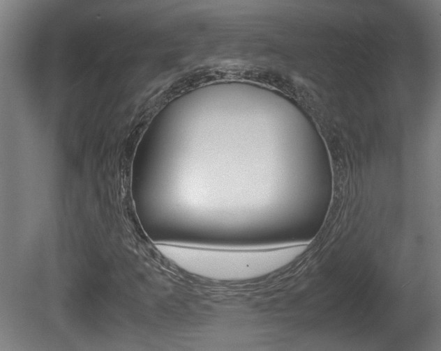 X0000081271253200701110858