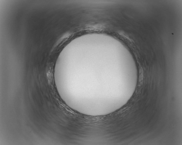 X0000081271254200701110858