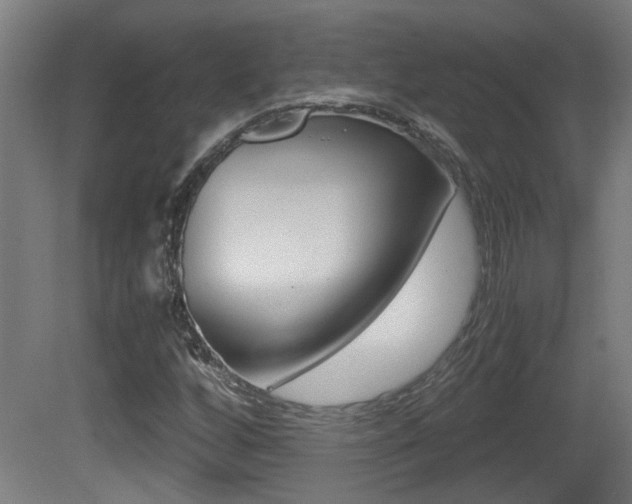 X0000081271256200701110858