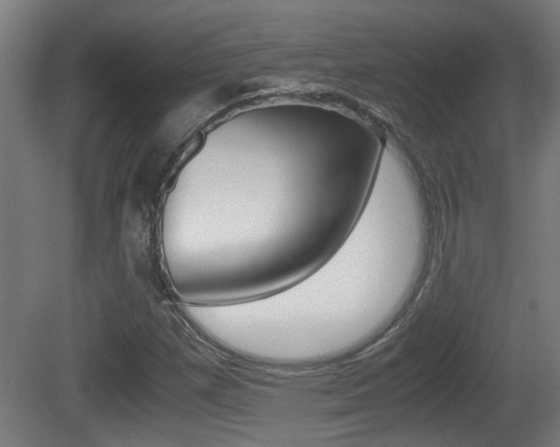 X0000081271257200701110858