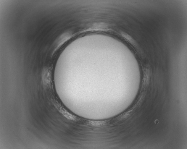 X0000081271258200701110858