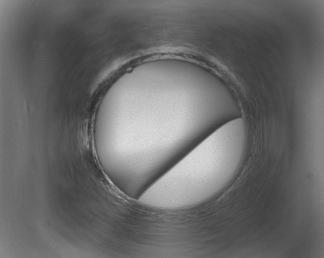 X0000081271262200701110858