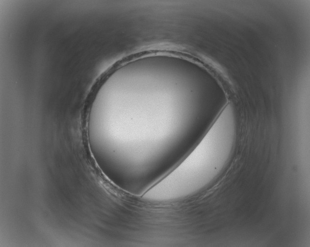 X0000081271264200701110858