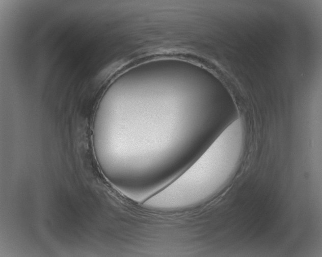X0000081271265200701110858