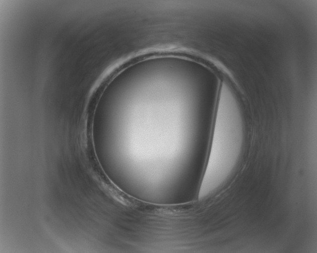 X0000081271270200701110858