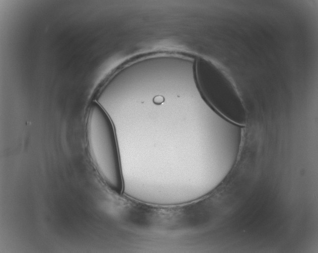 X0000081271271200701110858