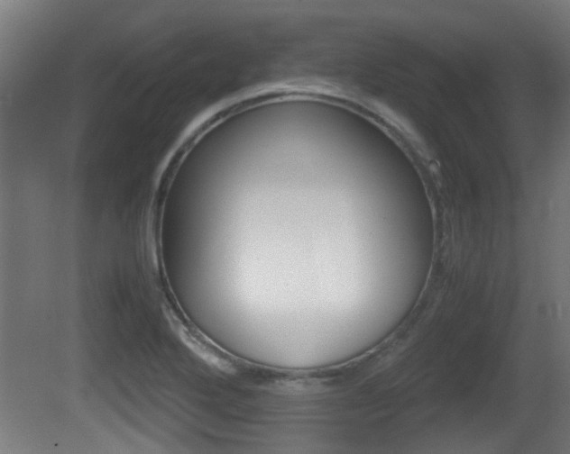 X0000081271272200701110858