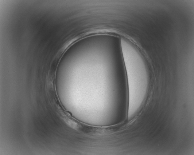 X0000081271273200701110858