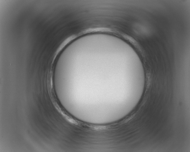 X0000081271274200701110858