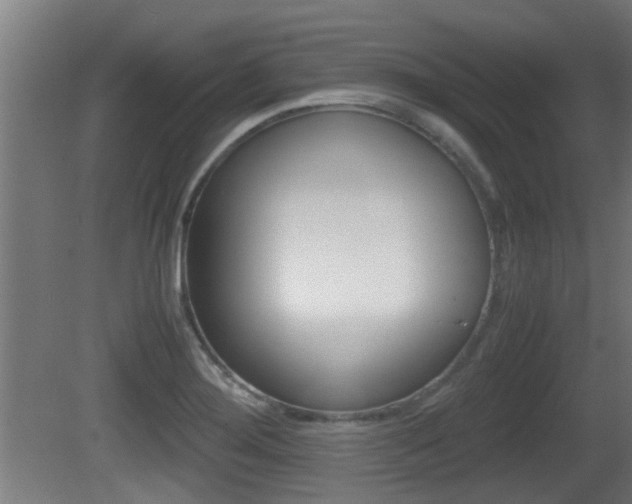 X0000081271276200701110858