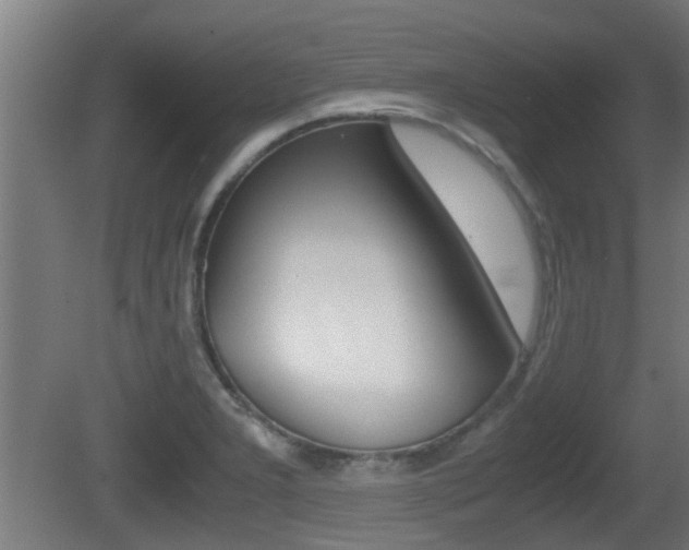 X0000081271277200701110858