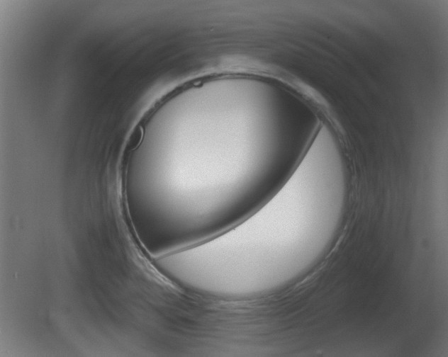 X0000081271280200701110858