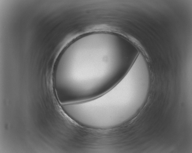 X0000081271288200701110858
