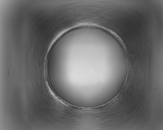 X0000081271295200701110858