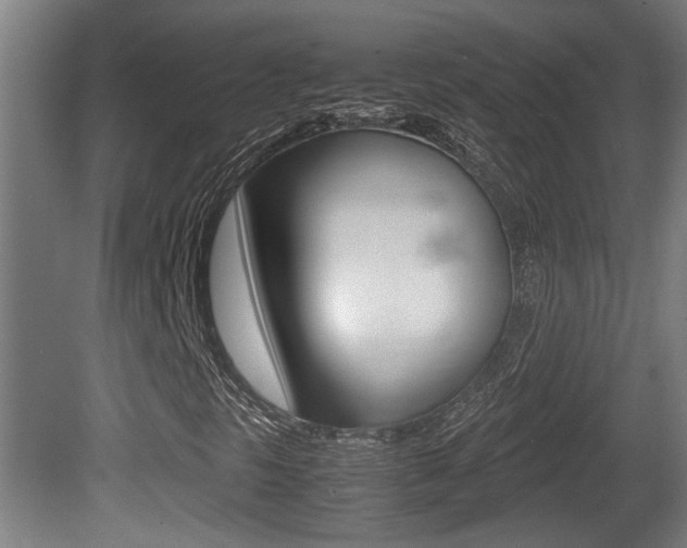 X0000081271297200701110857