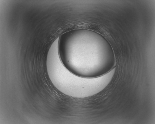 X0000081271298200701110857