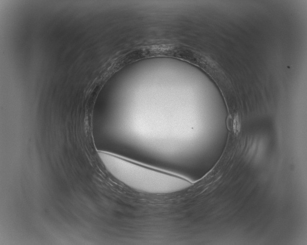 X0000081271299200701110857