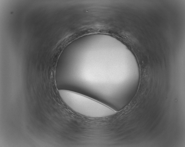 X0000081271302200701110857