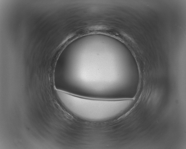 X0000081271305200701110857