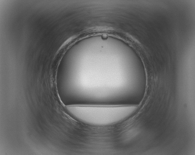 X0000081271306200701110857