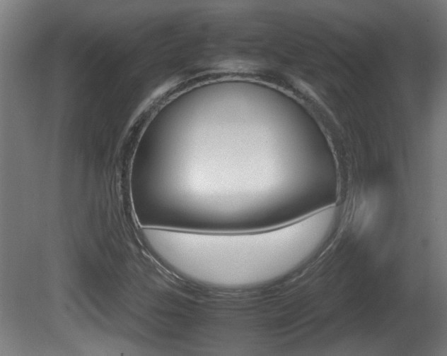 X0000081271307200701110857