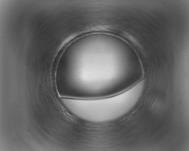 X0000081271308200701110857