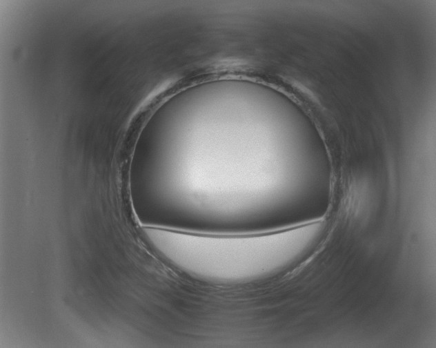 X0000081271309200701110857