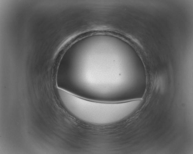 X0000081271311200701110857