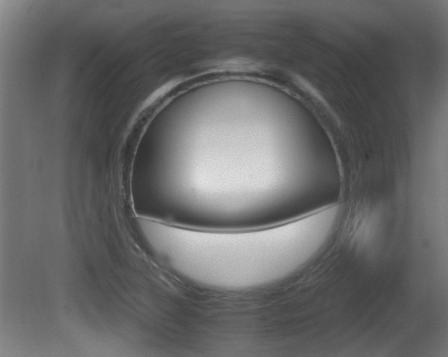 X0000081271315200701110857