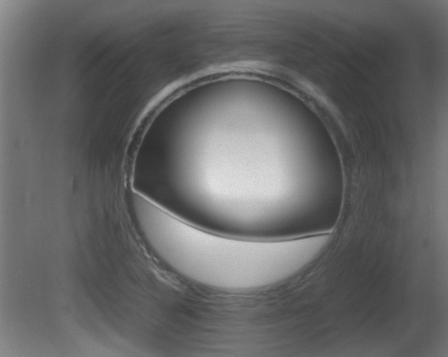 X0000081271316200701110857