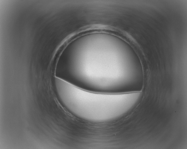 X0000081271318200701110857