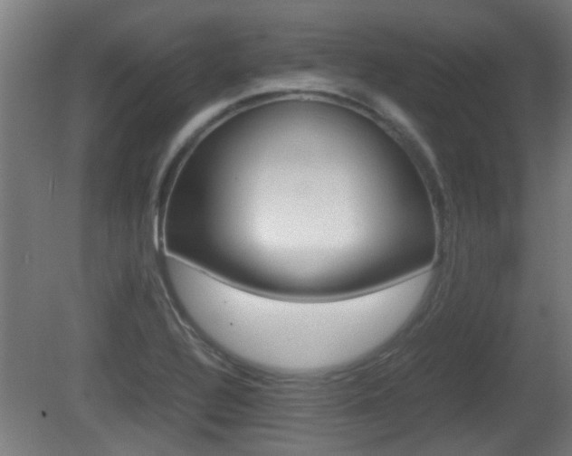 X0000081271320200701110857
